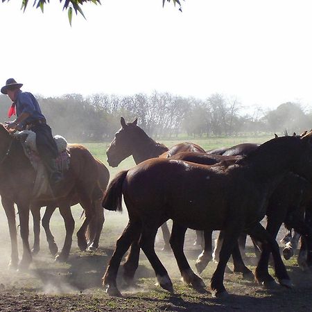 Estancia Don Silvano Diego Gaynor Bagian luar foto