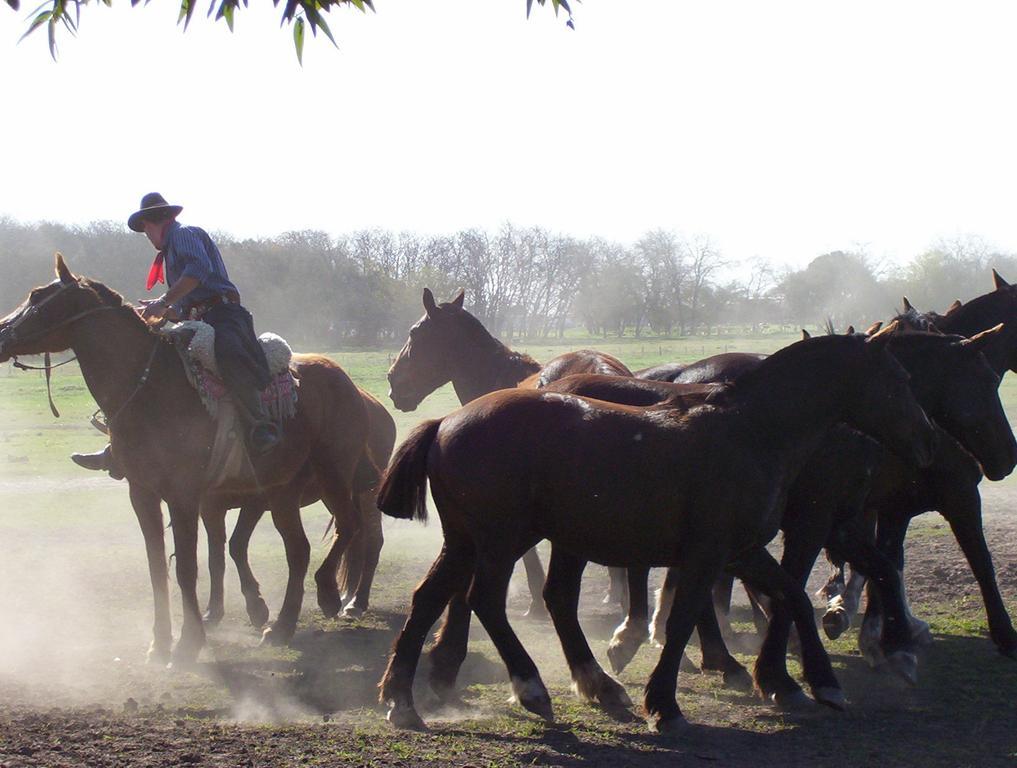 Estancia Don Silvano Diego Gaynor Bagian luar foto