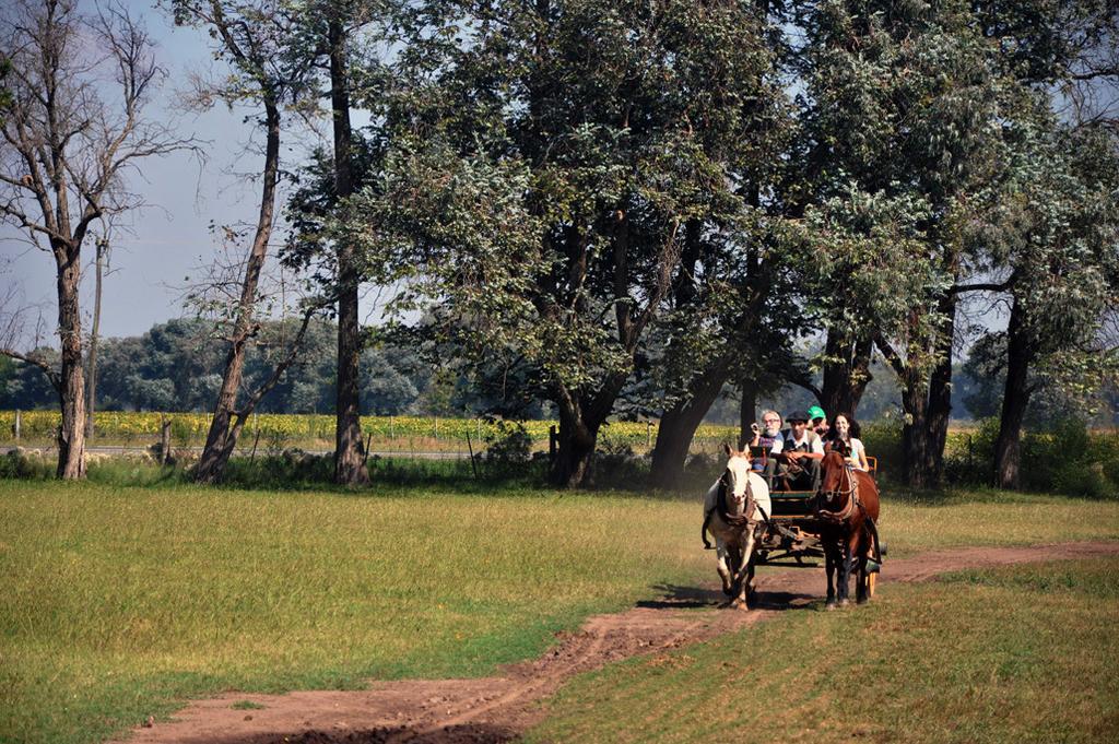 Estancia Don Silvano Diego Gaynor Bagian luar foto